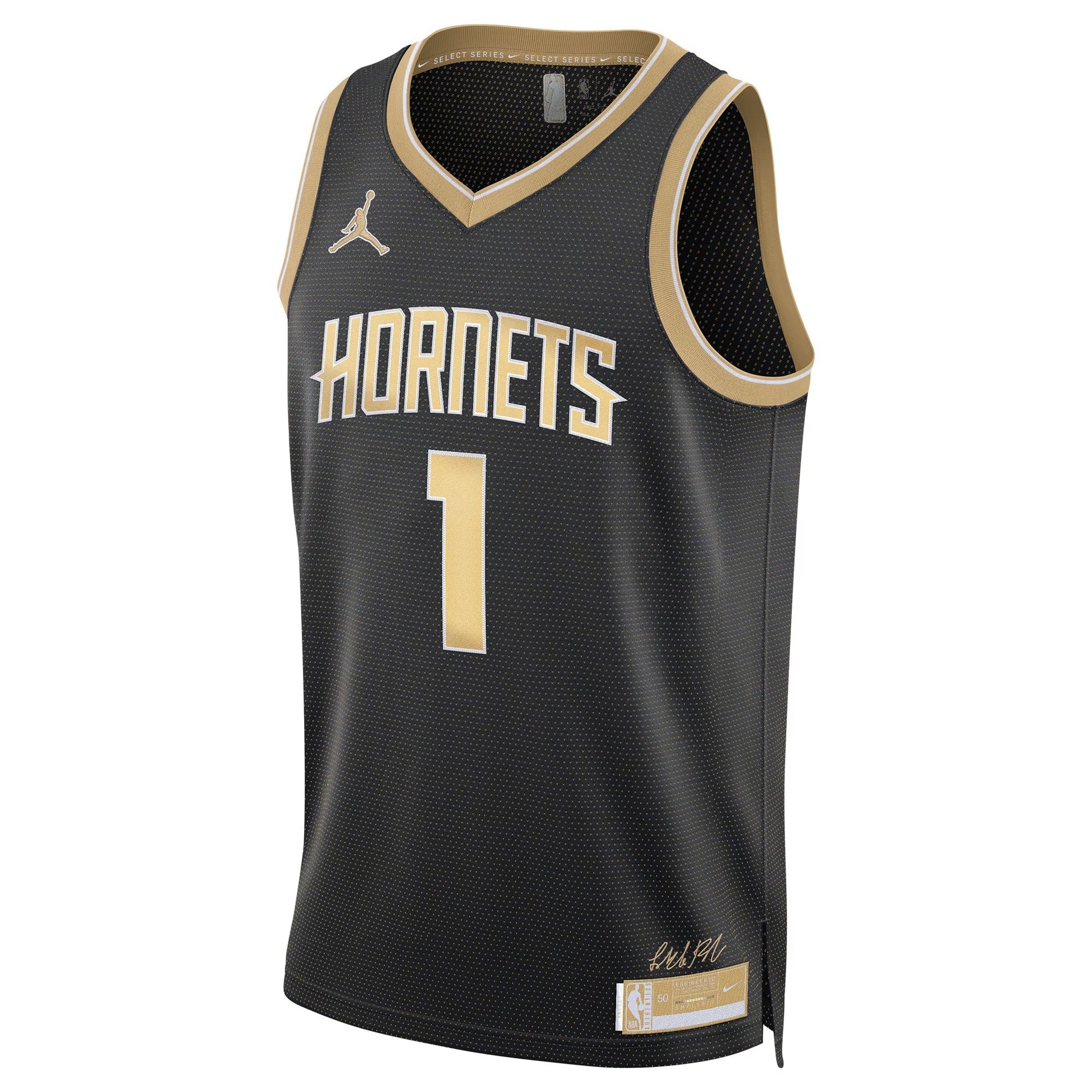 Nike Charlotte Hornets Lamelo Ball Select Series Jersey 2024
